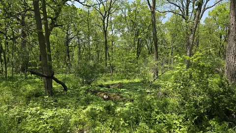 Lt1708 Oak, Geneva, WI 53147