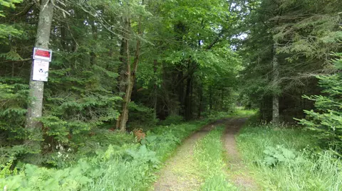 W16252 Butternut, Hutchins, WI 54409
