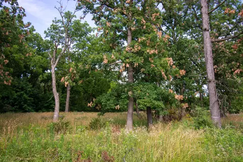 Lt20 Springfield, Geneva, WI 53147