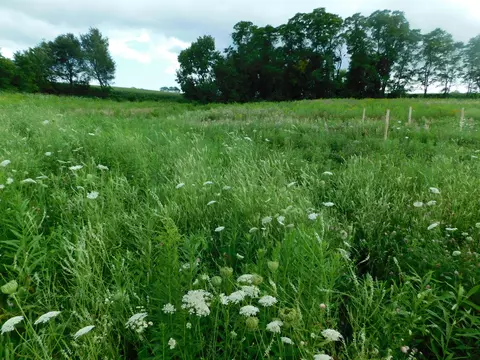 0000 Rolling Hills Rd, Jefferson, WI 54665