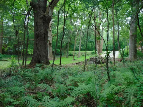 w302s10141 Oconee, Mukwonago, WI 53149