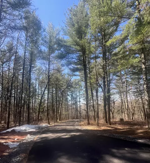 Lt6 Whitetail, Washington, WI 54701