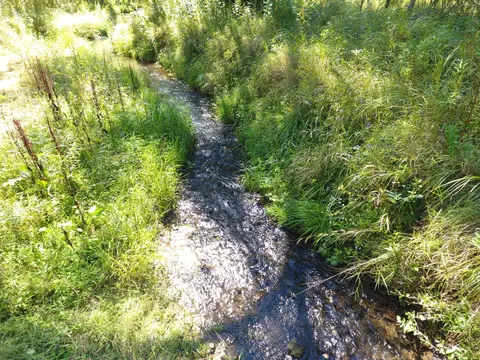 e10408 South Elk Run Road, Webster, WI 54664