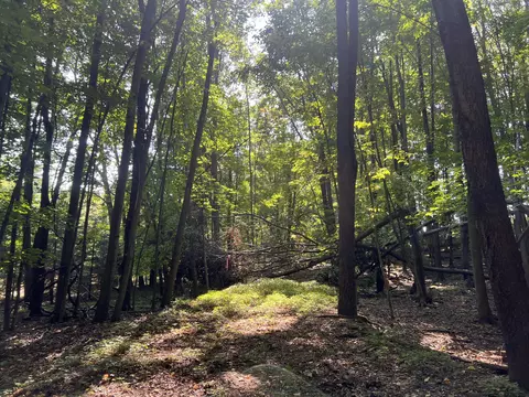 Lt0 Rocky Ridge, Belle Plaine, WI 54166