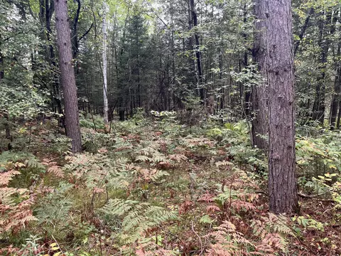 Lt1 Two Mile, Lake, WI 54159