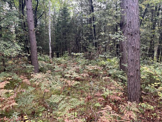 Lt1 Two Mile, Lake, WI 54159