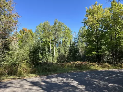 Lt 4 State Line, Presque Isle, WI 54557