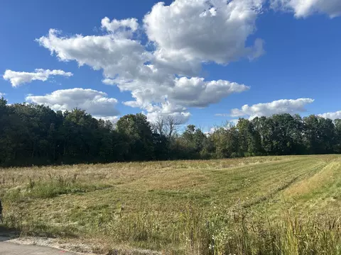 w256s6421 Pheasant, Vernon, WI 53189