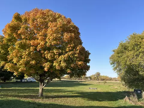 N4464 State Road 47, Black Creek, WI 54106