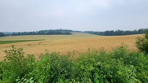 Lt2 County Road Nn, Mukwonago, WI 53149