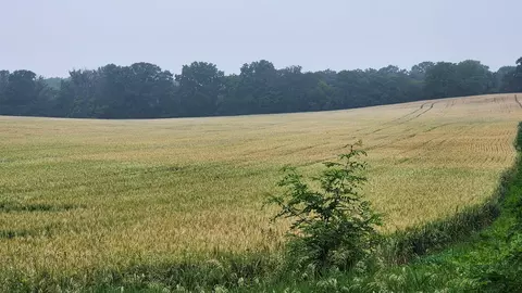 Lt3 Beulah, Mukwonago, WI 53149