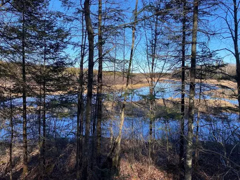 1022 Peshtigo Riv, Blackwell, WI 54541