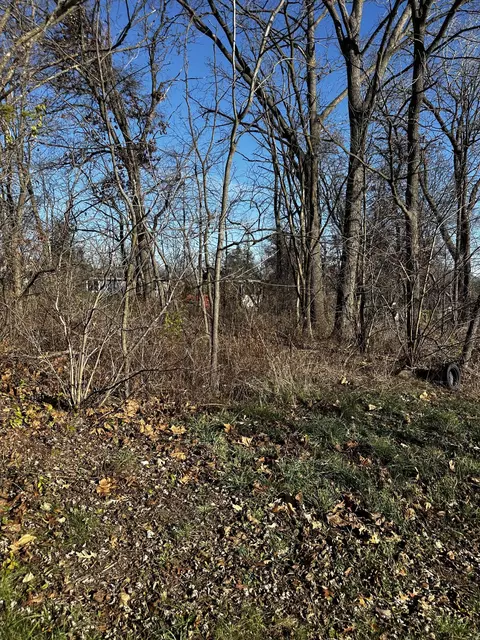 Lt1 Violet, Bloomfield, WI 53128