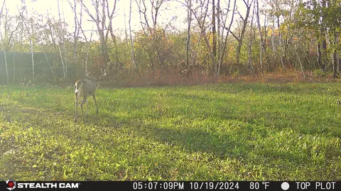 0 County Rd G, Arcadia, WI 54612