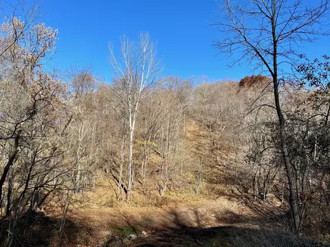 00 County Rd P, Wellington, WI 54651