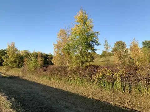 Lt3 County Road U, Greenbush, WI 53023