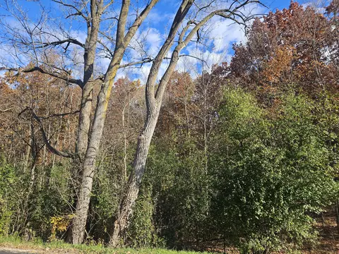 Lt4 Schuster, West Bend, WI 53090