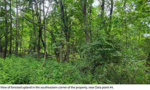 Lt2 Yorkshire, Delafield, WI 53072