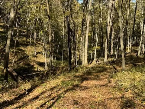 18 Acres Mccarty, Kickapoo, WI 54652