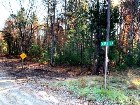 Lt3 Carrie, Pound, WI 54161