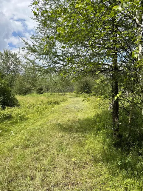 Lt45 Big Cub, Blackwell, WI 54541