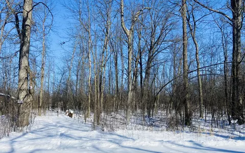 e3770 Galilee Road, Lind, WI 54981