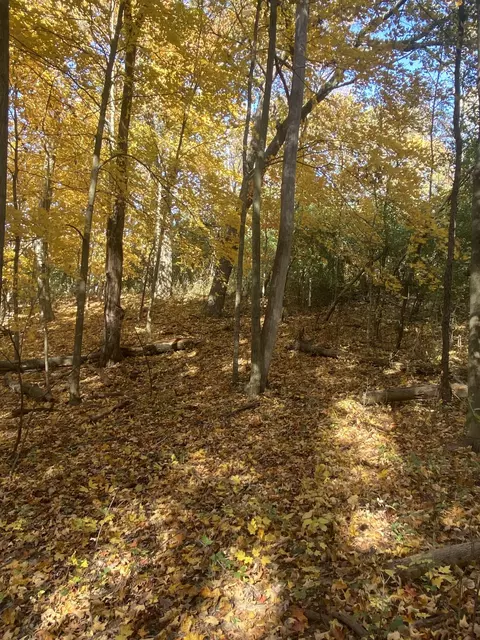 Lt24 Oak Ridge, Lafayette, WI 53121