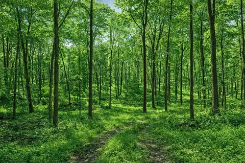 Lt0 Little Elkhart Lake, Rhine, WI 53020
