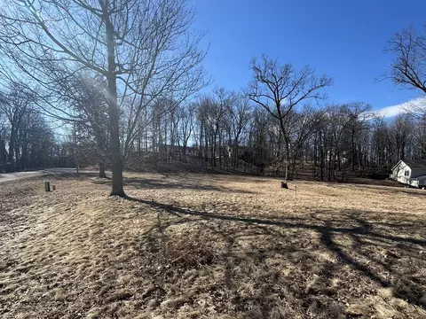 68 Wild Turkey, Lake Delton, WI 53913