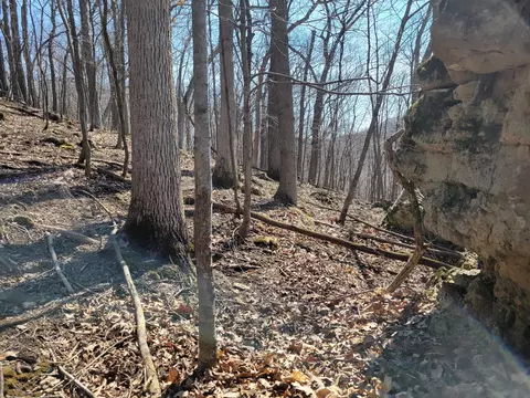0000 Spring Coulee, Coon, WI 54667