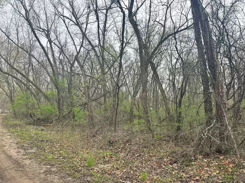 lot0 Catfish, Trempealeau, WI 54661