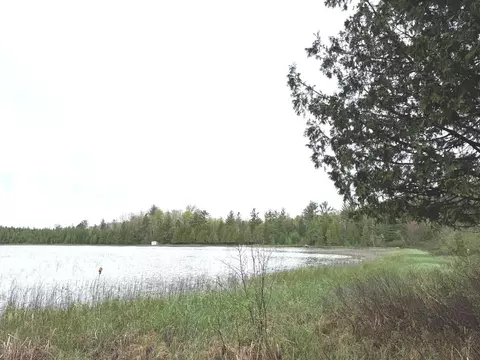 n12045 Dumman Road, Wausaukee, WI 54177