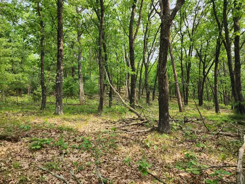 lot10 Jargon, Wells, WI 54656