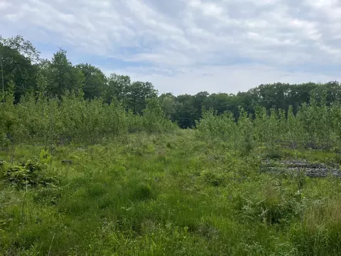 w6418 Barker Road, Amberg, WI 54102