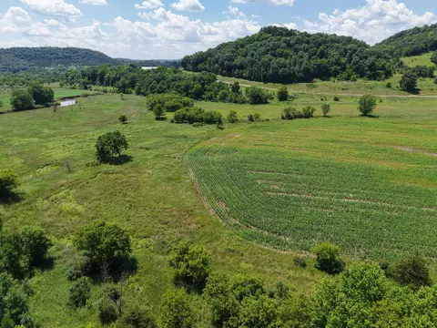 12824 River, Forest, WI 54664 photo 7
