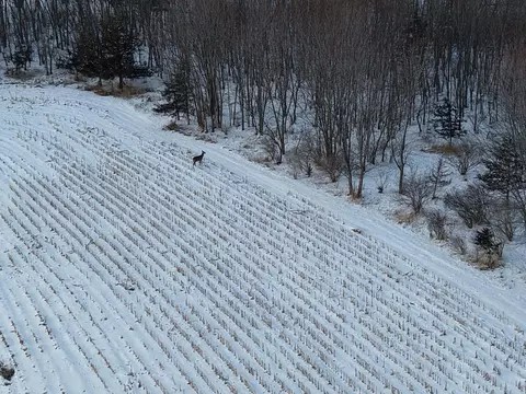12824 River, Forest, WI 54664 photo 37