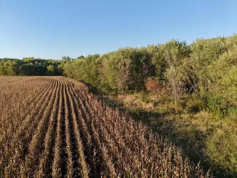 12824 River, Forest, WI 54664 photo 28