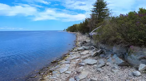 Lt0 Bonis, Gardner, WI 54235