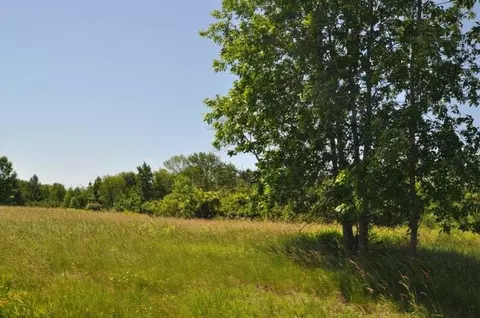 Lt1 Holly, Cedarburg, WI 53012