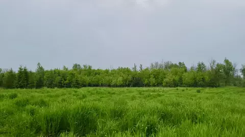 Lt1 Seven Corners, New Holstein, WI 53061
