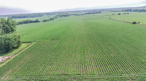 Lt1 Mayfield, Polk, WI 53037