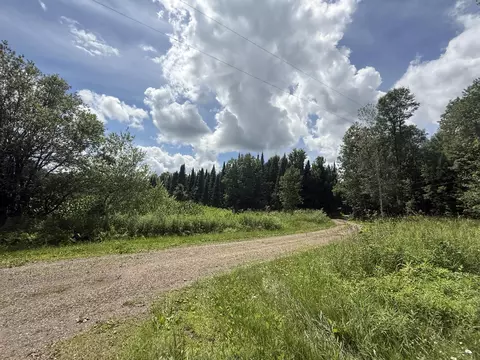 w14015 Hamilton Drive, Jump River, WI 54766
