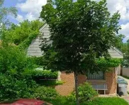 4908 N 60th #4908A, Milwaukee, WI 53218