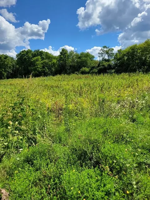 Lt0 Maple, Sussex, WI 53089