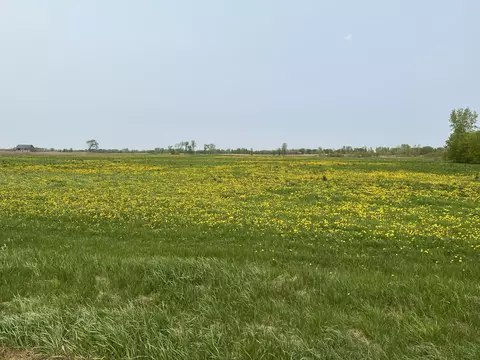 Lt0 Deer, Angelica, WI 54162
