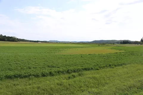 lot1 State Highway 27, Leon, WI 54656