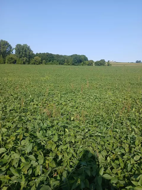 Lt0 County Road T, Franklin, WI 54247