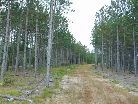 1730 9th, Preston, WI 53934