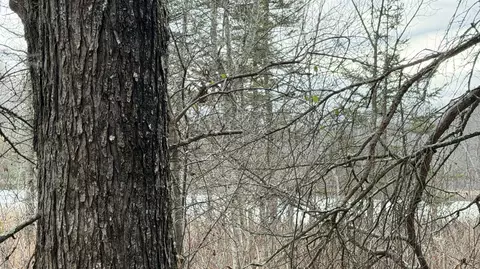 Lt 3 Boat Landing 11, Silver Cliff, WI 54104