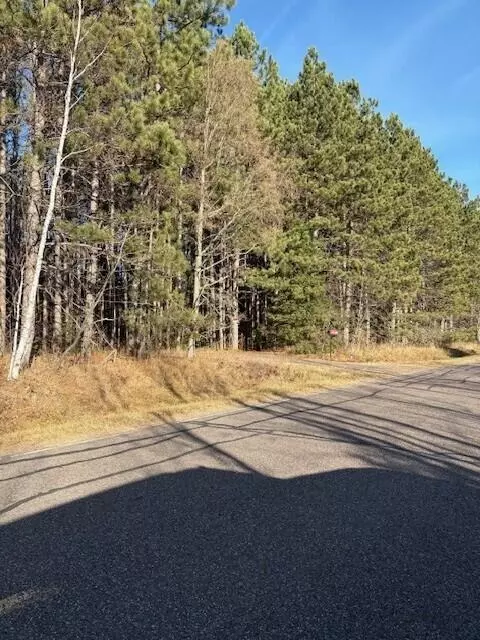 10030 W Moose Lk, Round Lake, WI 54843